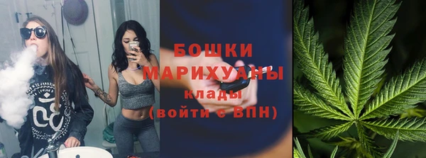 винт Богданович