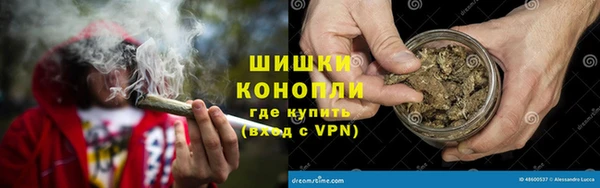 винт Богданович