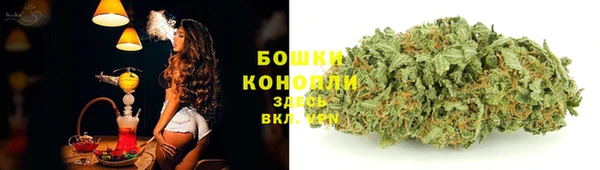винт Богданович