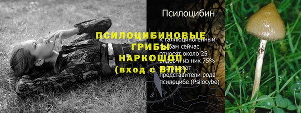 меф Богородск