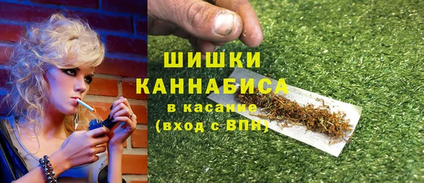 винт Богданович