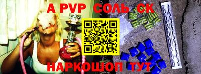 индика Сланцы
