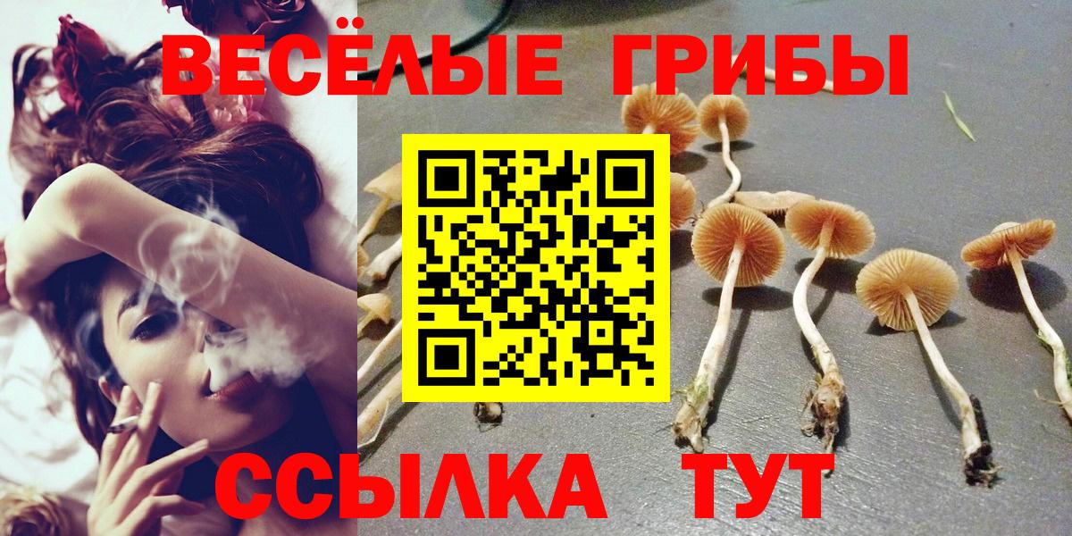 Псилоцибиновые грибы прущие грибы Среднеуральск